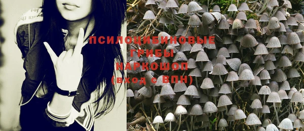 Альфа ПВП Горняк