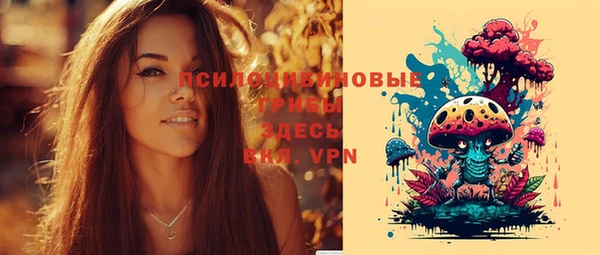 шишки Гусь-Хрустальный