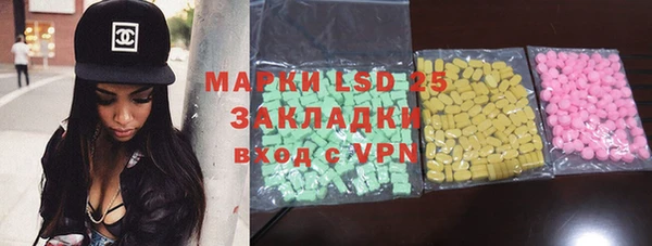 шишки Гусь-Хрустальный