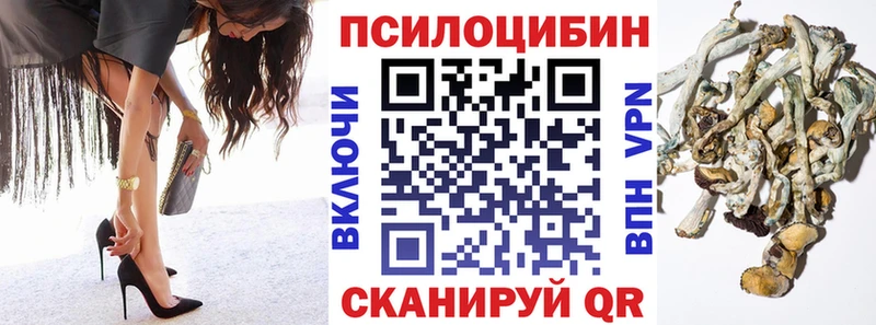 MEGA ТОР  даркнет сайт  Елизово  Галлюциногенные грибы прущие грибы 